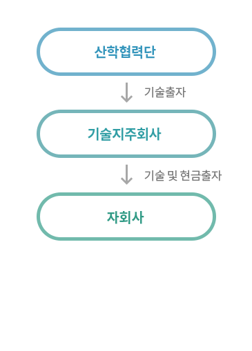 산학협력단,기술출자,기술지주회사,기술 및 현금출자,자회사