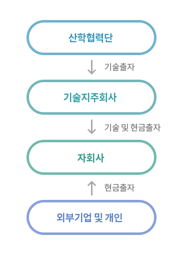 산학협력단,기술출자,기술지주회사,기술 및 현금출자,자회사,현금출자,외부기업 및 개인