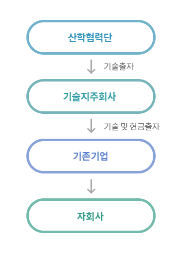 산학협력단,기술출자,기술지주회사,기술 및 현금출자,기존기업,자회사